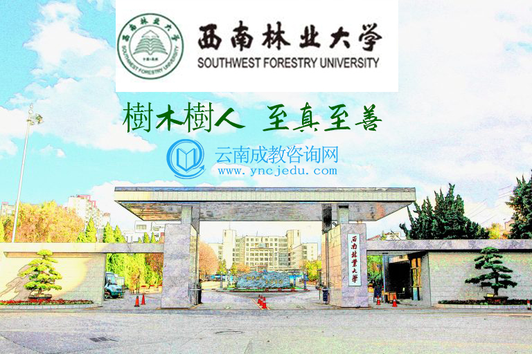 西南林业大学(图1)