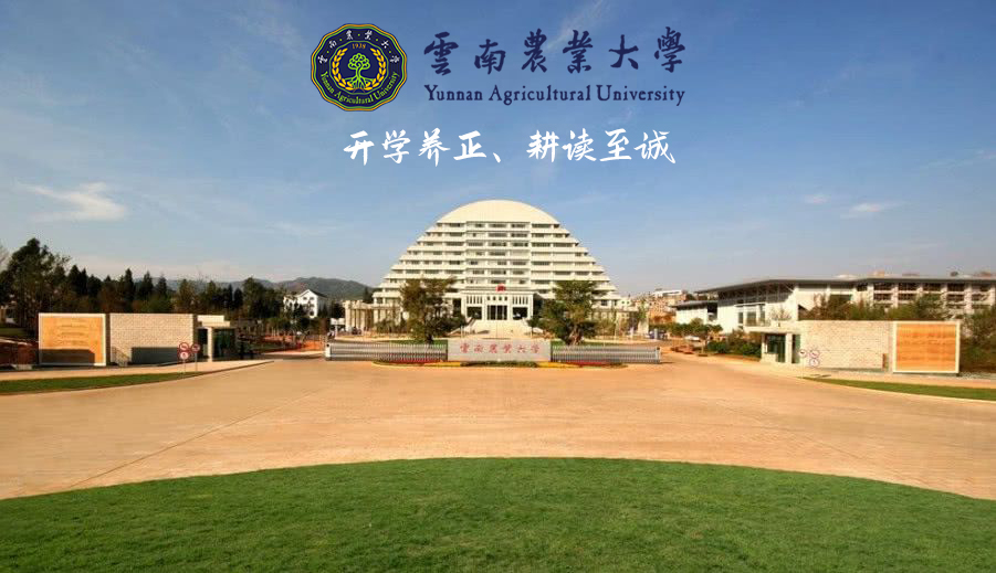 云南农业大学(图1)