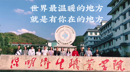 昆明卫生职业学院 www.yn35sxw.com 0871-68966789 (5).png