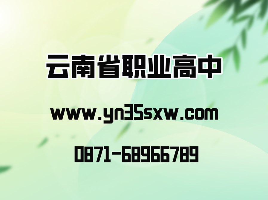 2025招生专业计划2025招生专业计划