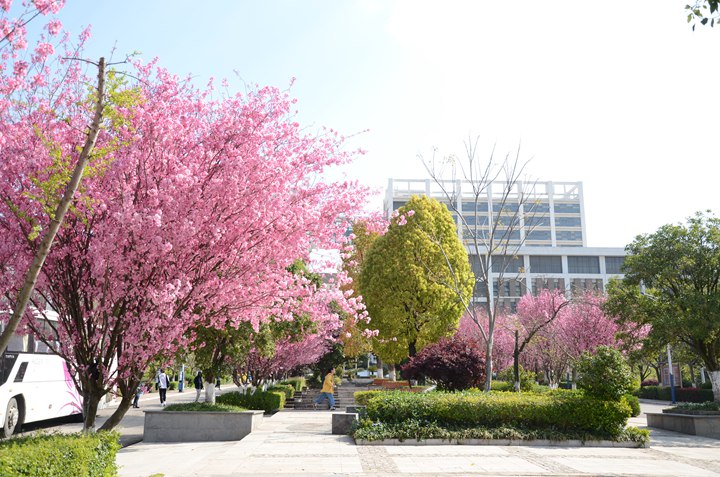 云南工程职业学院 (10).jpg