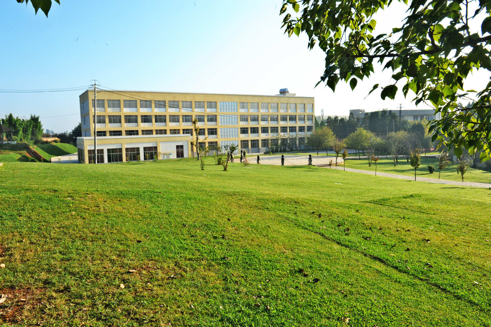 云南农业职业技术学院 (48).jpg
