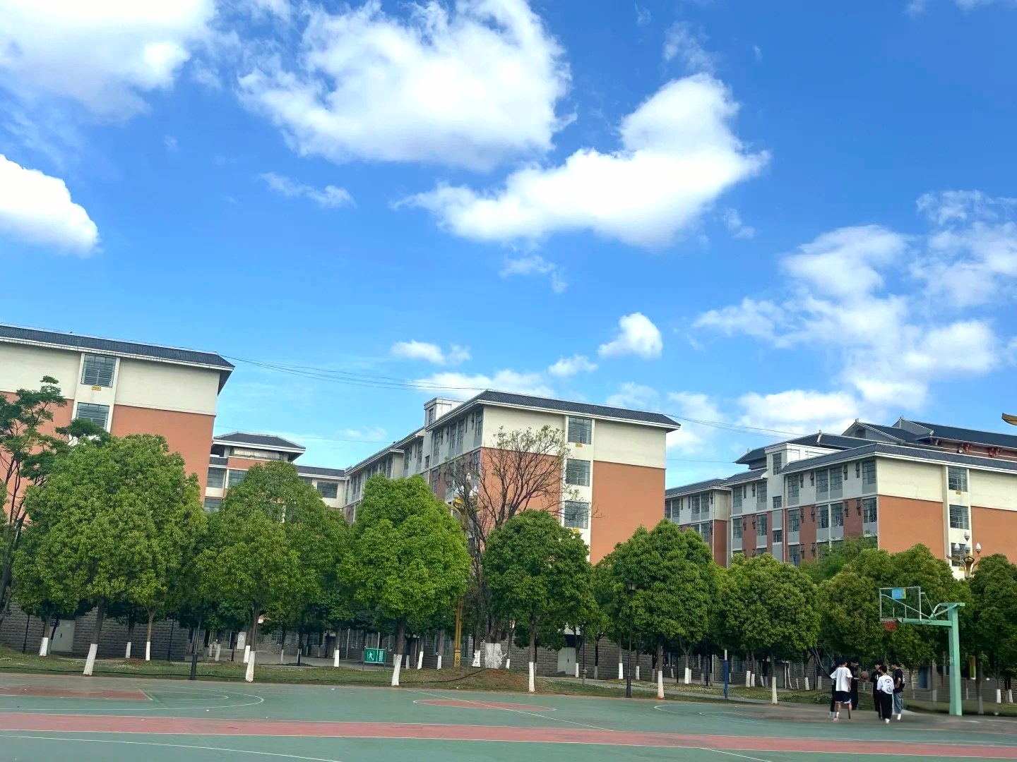 云南技师学院 (26).jpg